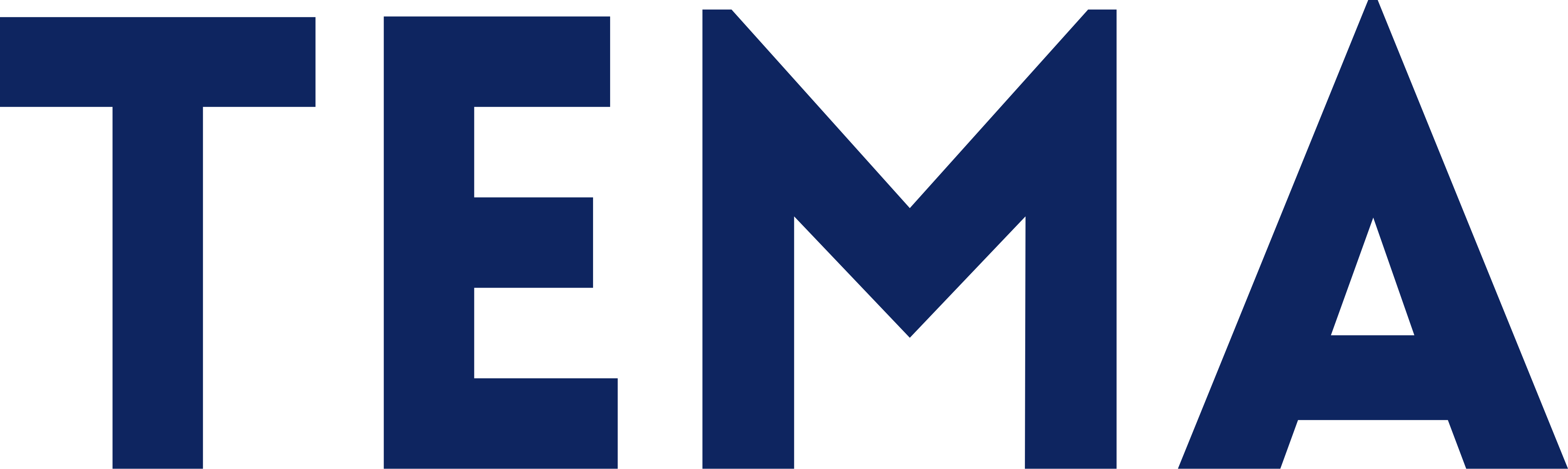 TEMA Store